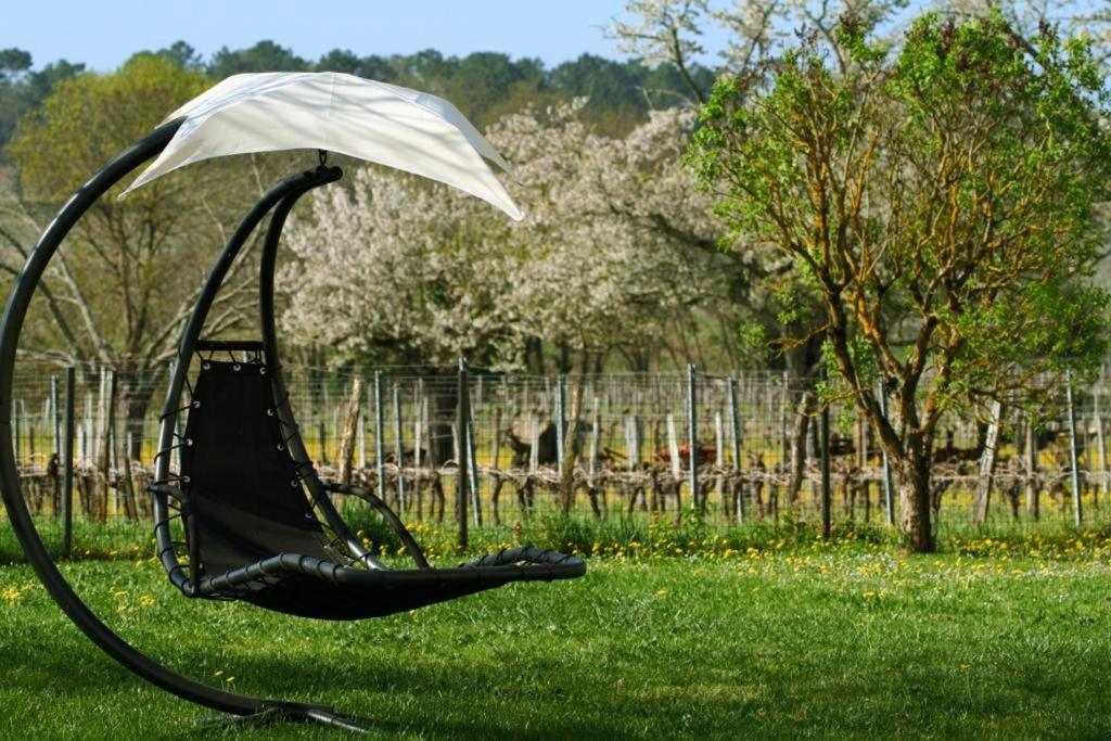 Bed and Breakfast Bleu Raisin Les Salles-de-Castillon Экстерьер фото